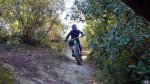 5-4-15 Collserola2.jpg