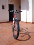 DSC05685.jpg