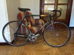 Bici.JPG