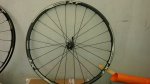 20150409_104207.jpg