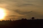 DSC_2954.jpg