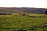 DSC_3057.jpg