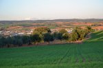 DSC_3064.jpg