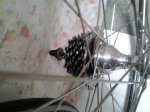 20150408_120440.jpg