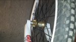 20150410_121232.jpg