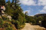 gee-atherton-überspringt-die-straße-beim-hardline.jpg