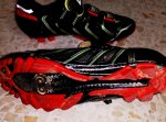 IMG_20150411_173755.jpg