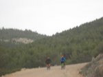 IMG_9175.JPG