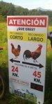 costapicos.jpg
