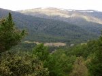 IMG_0511 - copia.JPG