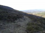 20150402_094557.jpg