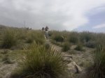 CAM00726.jpg