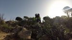 vlcsnap-2015-04-13-15h45m05s66.jpg