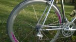 WP_20150413_013.jpg