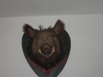 IMG_9249.JPG