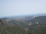 IMG_9253.JPG