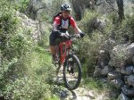 bici01.jpg