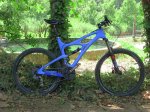 blue ibis mojo.jpg