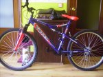 bici complet 2.JPG