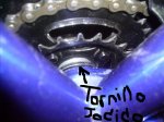 tornillo fastidiao.JPG