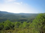 IMG_1009.JPG