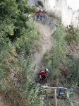 IMG_1552.jpg