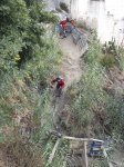 IMG_1557.jpg