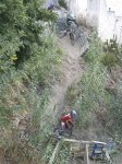 IMG_1561.jpg