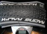 schwalbe.jpg1.jpg