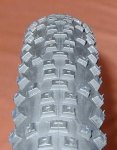 schwalbe.jpg2.jpg