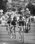 amstel87-dutch-big.jpg