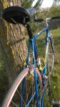 WP_20150413_003.jpg