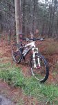 20150405_102802.jpg
