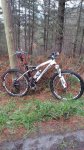 20150405_102810.jpg