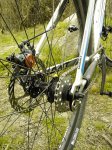 WP_003740.jpg
