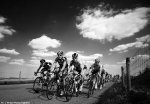 amstel11-bw.jpg