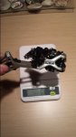 20150419_195210.jpg