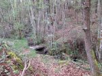 IMG_1827[1].JPG