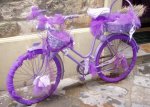 bici con cesta.jpg