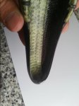 20150422_185953.jpg