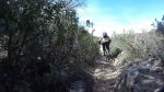 vlcsnap-2015-04-22-23h10m24s59.jpg
