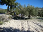 DSC03238.JPG