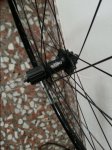 20150425_125654.jpg