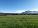 DSC02821.JPG