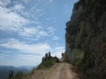 IMG_1766.jpg