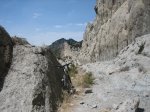 IMG_1783.jpg