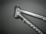 Cannondale2.jpg