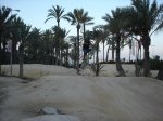 DSC05479.JPG