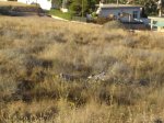 DSC05547.JPG