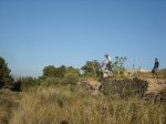 DSC05550.JPG